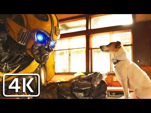 BumbleBee - BumbleBee destroys Charlie's House (funny scene) [4K]