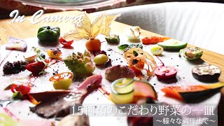 【料理の盛り付け方】早再生で15種のこだわり野菜の一皿