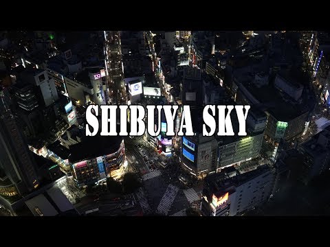 絶景！渋谷スクランブルスクエア展望台「渋谷スカイ」夕景夜景まで！/ SHIBUYA SKY