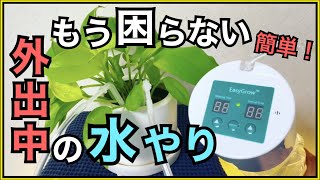 【簡単】【水やり自動化】自動水やり機購入してみたら、家庭菜園の毎日の水やりが超ラクになった