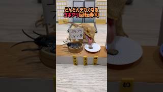 どんどんデカくなるゴキブリ回転寿司