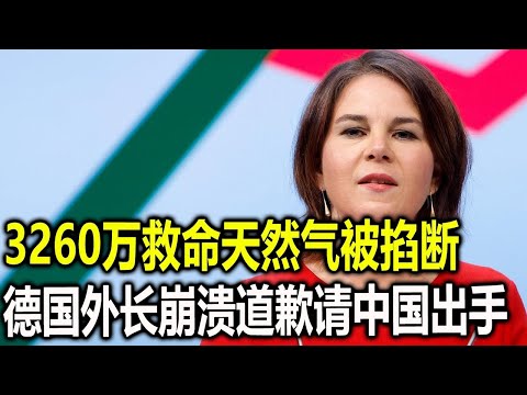 3260万救命天然气被掐断，德国外长崩溃对华道歉请中国出手，谁料赵立坚如此回应，大快人心！