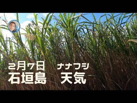 【石垣島天気】2月7日9時ごろ。15秒でわかる今日の石垣島の様子。