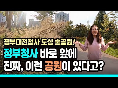 [일상에서 만나는 가을 풍경] 정부대전청사 숲의공원, 자연마당으로 떠나는 가을 소풍