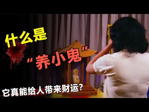 什么是“养小鬼”？它真能给人带来财运？一般人最好别碰！