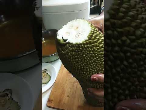 How to cut a jackfruit #jackfruit #kathal  #cuttingskills #shortvideo #youtubeshorts @bhanucooks