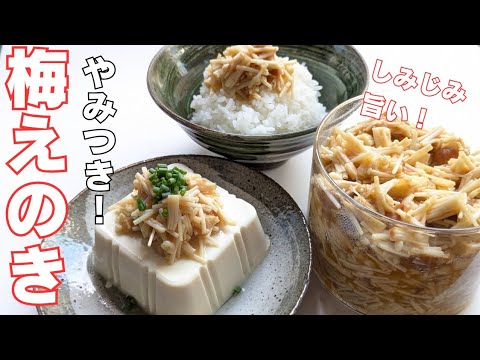 【無限えのき】切って炒めるだけ！食べ方いろいろ♪コスパ最強作り置き常備菜！