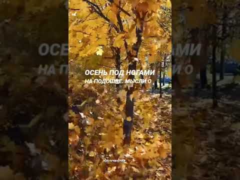 #Осень🍁