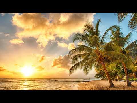 Chill Reggae Music [10 Hours] Stream Safe