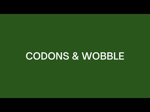 Codons & Wobble