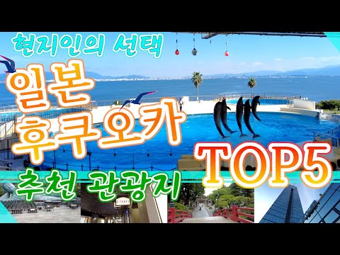 현지인이 뽑은 후쿠오카의 추천 관광지 TOP 5