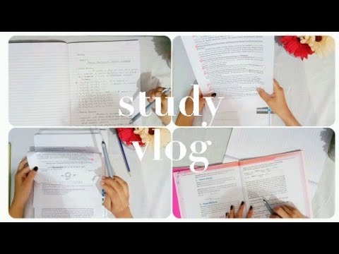 A Productive Study vlog|| Night study vlog||Study with me