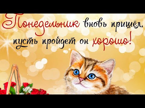 С ДОБРЫМ УТРОМ! ПОНЕДЕЛЬНИК ВНОВЬ ПРИШЁЛ! ПУСТЬ ПРОЙДЁТ ОН ХОРОШО! МУЗЫКАЛЬНАЯ ОТКРЫТКА ДЛЯ ТЕБЯ☺🤗