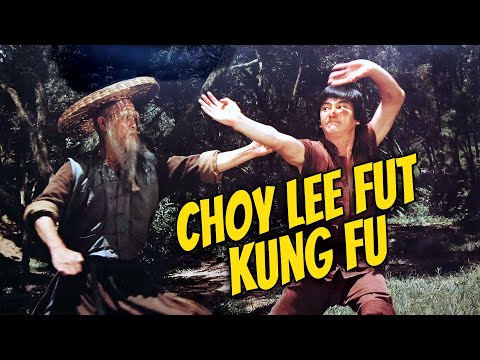 Wu Tang Collection - Choy Lee Fut Kung Fu (subtítulos en español)