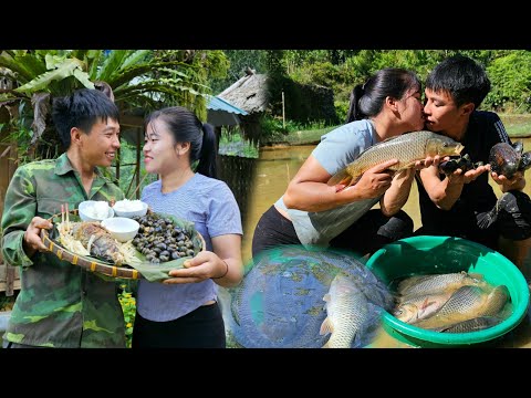 Harvesting a semi-rural fish pond, Enjoying my husband's cooking | Linh's Life