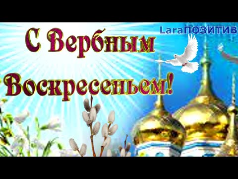 🕊️ С ВЕРБНЫМ ВОСКРЕСЕНЬЕМ! Красивое Поздравление с Вербным Воскресеньем 2024  МУЗЫКАЛЬНАЯ ОТКРЫТКА