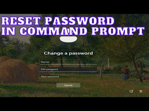 Reset Windows 11 password at command prompt