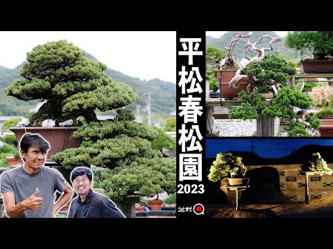 Koji Hiramatsu created a new bonsai garden [Bonsai Q]