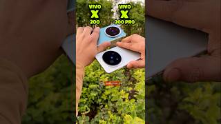 Vivo X200 Vs Vivo X200 Pro Camera Test #vivo #vivox200 #vivox200pro #comparison #shotrs