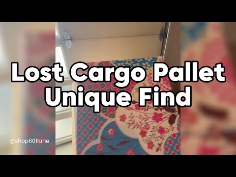 Unbelievable Discovery from Lost Cargo Pallet! Rare Find Revealed in 60 Seconds! 😱 #PalletTreasure