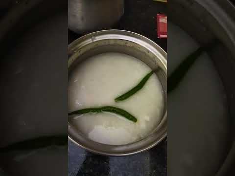 Yogurt Porridge //  world best food // உலகின் சிறந்த உணவு