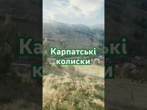 #shorts#карпати Карпатські копички сіна/Карпати