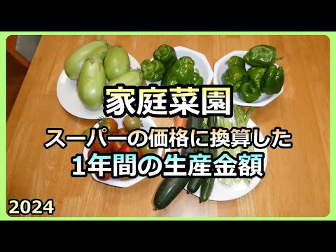 【1年間作った野菜 買ったらHow much？2024 】異常気象でどうなったか？ 家庭菜園31年目  半自給自足