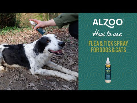 How to use ALZOO™ Flea & Tick Spray for dogs and cats?