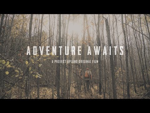 Ruffed Grouse Hunting - Adventure Awaits - A Project Upland Original Film