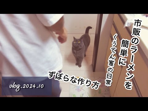 【料理】市販のラーメンを簡単に作る/ずぼら飯/40代主婦/猫との暮らし/vlog