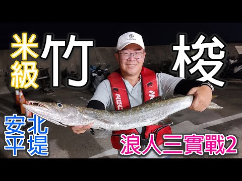 從來沒在安平北堤中過魚，沒想到一中就是條破米的竹梭!! #LPGM5#安平北堤#竹梭#岸拋#路亞#浪人三#廖排