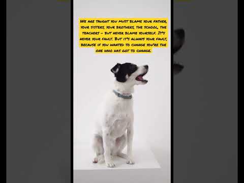 Dog videos #shorts #dog