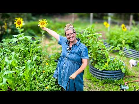 Walk the Homestead with Me | Living the Dream with Chickens, Garden, & Family