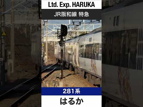 【高速通過】熊取駅を通過するJR阪和線特急はるか【電車が大好きな子供向け】Japanese Trains for Kids - Limited Express HARUKA