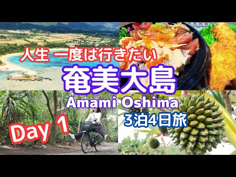 [Amami Oshima 4 days #1]  Must visit at least once in your life!! The great nature of Amami Oshima