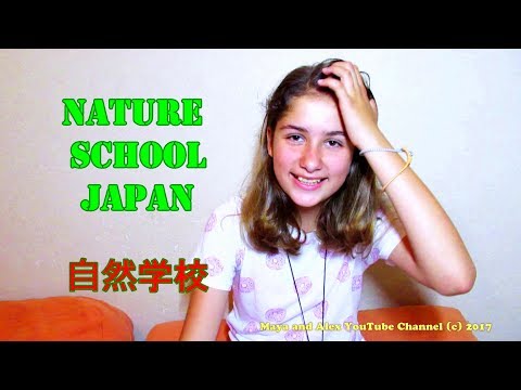 What a Green School (自然学校) Looks Like in Japan