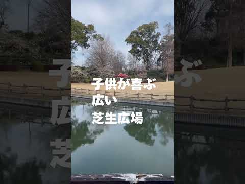 梅の花を楽しみながら公園遊び「みどり〜な」#shorts