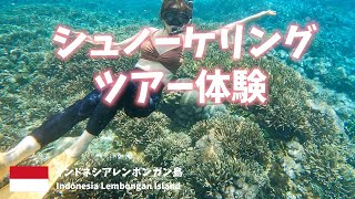 【インドネシアバリ島旅行】レンボンガン島でシュノーケリング体験！Klookアプリで予約1人4000円！[Indonesia Bali trip] Snorkeling in Lembongan