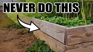 7 Beginner Raised Bed Garden Mistakes to Avoid