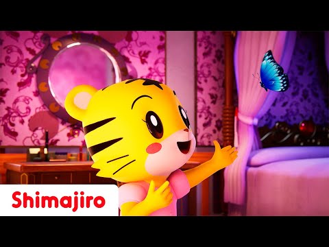 Magical Kingdoms & Adventures 🌟🦄 | Fantasy Fun & Learning with Shimajiro 🐯 | Songs for Toddlers🎶