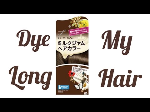 How to Dye My Long Hairロングヘアを自染め