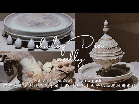 shuvlog 河南博物馆｜生病周 昏昏沉沉的homemade｜石锅鱼 太子浓心 花胶鸡米线 榴莲千层｜郑州生活｜郑州看展