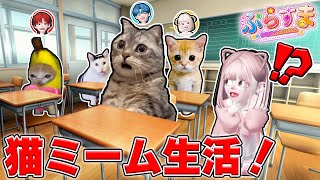 色んな『猫ミーム』になって４人で生活してみた結果！？ロブロックス【ROBLOX】