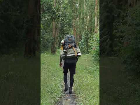 Trekking in forest #trekking #forest #asmr