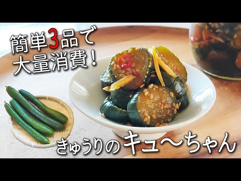 【きゅうり の キューちゃん】簡単 きゅうり レシピ 3品 ポリポリ食感で止まらない！ 殿堂入り レシピ 大量消費 にも！ きゅうり の 漬物