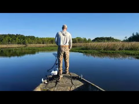 Top Water Bass Fishing | 4-14-24 | LIVE STREAM