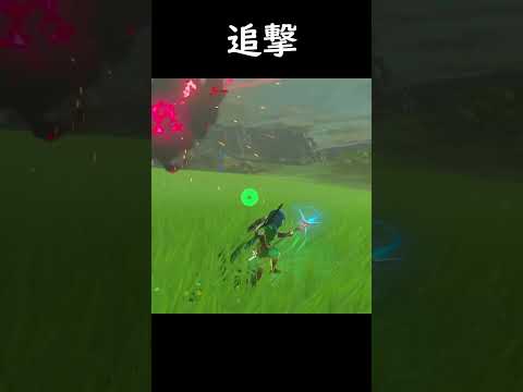 Chase and Attack【The Legend Of Zelda Breath of the Wild】