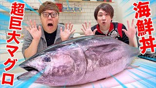 高級超巨大マグロさばいて海鮮丼と刺身の舟盛り作ったら美味すぎて気絶…【ヒカキン×きまぐれクック コラボ】