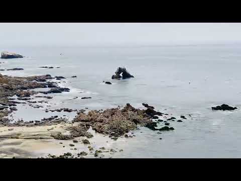 little corona del mar beach, Newport Beach, CA 4/11/2023