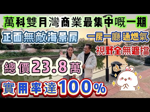 總價23.8萬 買正面無敵海景房【萬科雙月灣商業最集中嘅一期】實用率達100% 46方做1房1廳 露台一啲面積都唔計∣通燃氣∣視野全無遮擋∣步行5分鐘到商業街#海景房 #萬科雙月灣